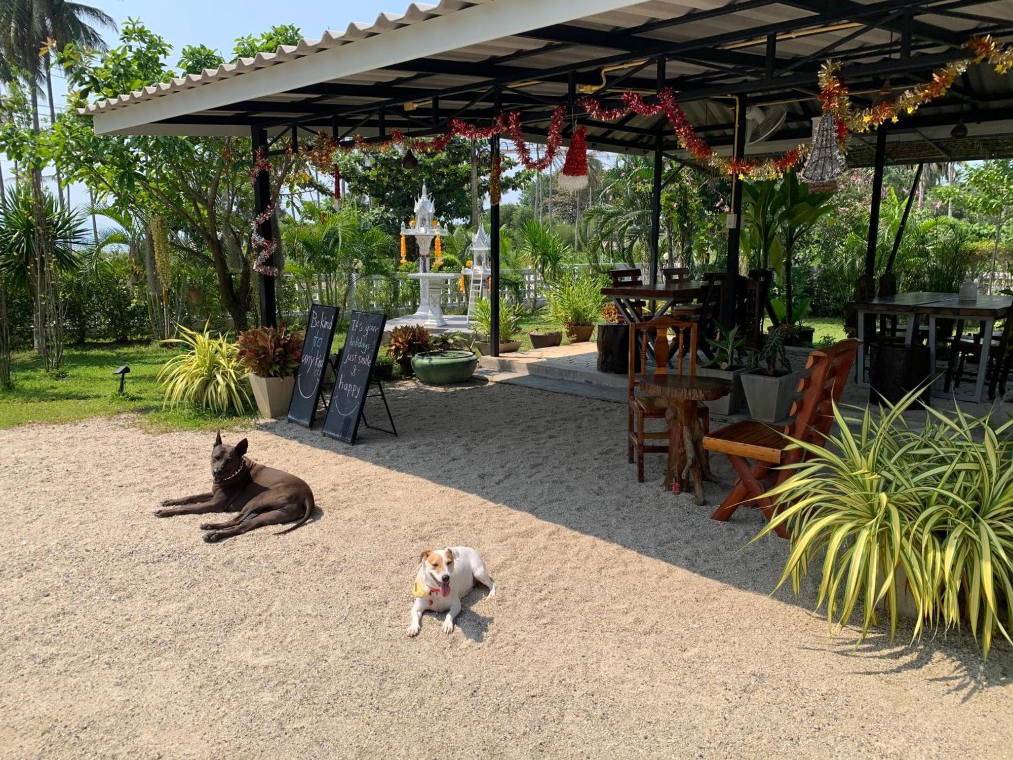 Phangan Hometown Resort - Adults Only Baan Tai Exterior foto
